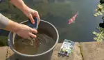 Druckfilter reinigen: Klare Sicht erhalten