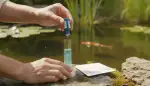 Karbonathärte im Teich: Der entscheidende Wert