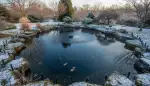Koi-Netze im Winter: Schutz vor Eis und Kälte