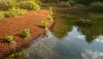 Ufermatte: Natürlicher Übergang am Gartenteich