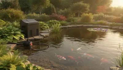 Filtermedien für Gartenteiche: Klarheit und Gesundheit