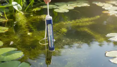 Gesunder Teich: Wassertemperatur im Blick