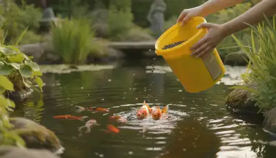 Goldfische kaufen: Dein Leitfaden