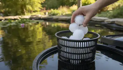 Optimales Filtermaterial Teich: Klarheit und Gesundheit