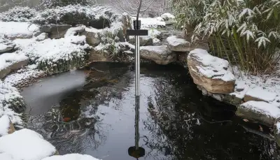 Teichheizung: Optimaler Schutz im Winter